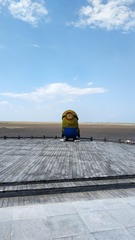 1000020287