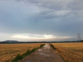 2854217