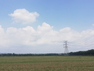 2898443