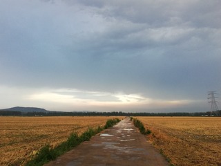 2854229