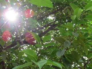 IMG_0791.jpg
