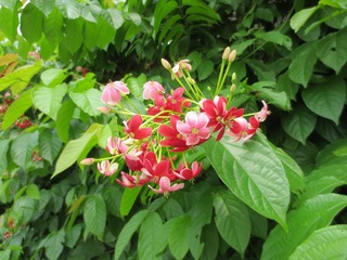 IMG_0806.jpg
