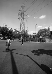 3075505