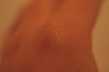 3067592