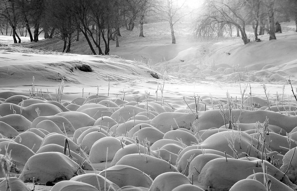 坝上冬天的“雪馒头”