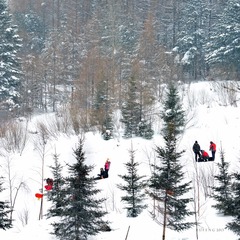 _DSC2967..jpg