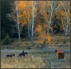 DSC_4233-2.jpg