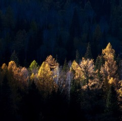 DSC_4030.jpg