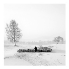 BVC_0286...