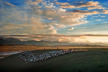 BVC_2976_