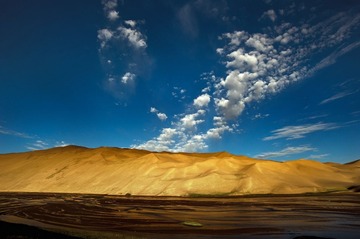 BVC_4454-