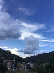 9F414A58-D20C-4685-B980-7AEABB196C12/L0/001