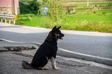 1000061261