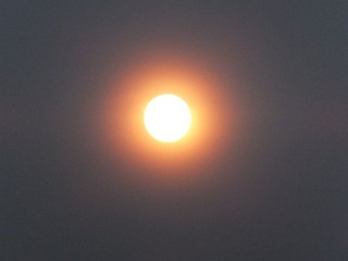 DSCF0184.JPG