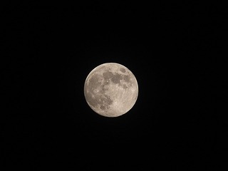DSCF0188.JPG