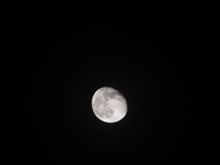 DSCF0242.JPG