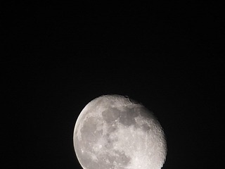 DSCF0243.JPG