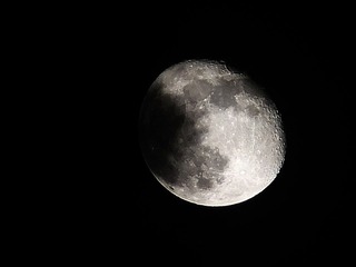 DSCF0249.JPG