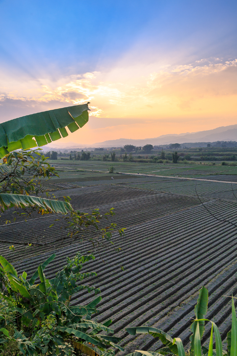 田园牧歌摄于云南芒市轩岗