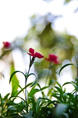 20111218.jpg