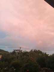725565C0-E154-4EB8-B5D3-039DD8121FD7/L0/001