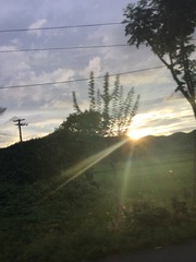 263532B3-AB6A-41CF-AA14-71B44A5CCABA/L0/001