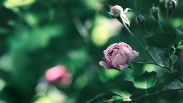 FF31EE6A-3078-4C75-8F75-465819D5FC4D/L0/001