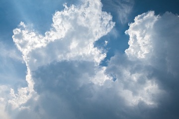 1000052062