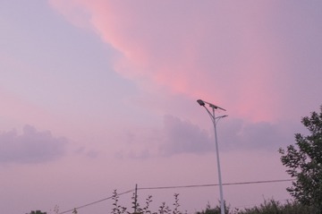 1000052068