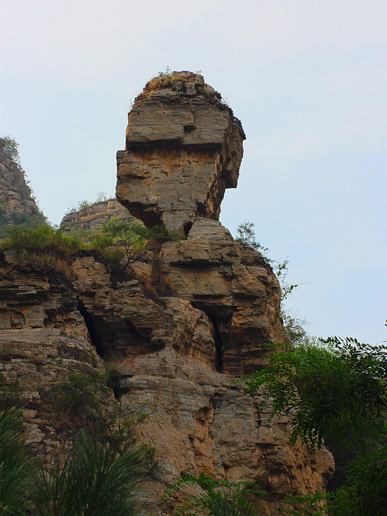 高山流水陈遂义关注