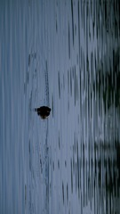 1000055044