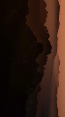 1000056049