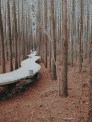 4577641
