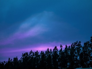 1000012542