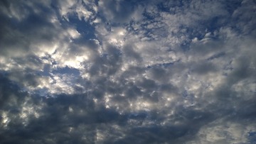 1000066709