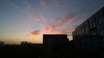 1000066714