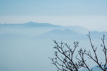 DSC_0236.jpg