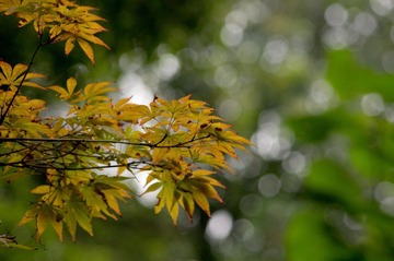 _IGP5427-编辑.jpg