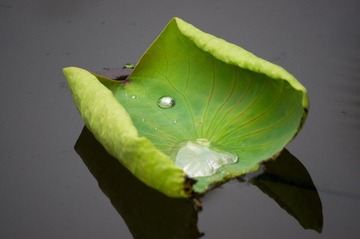 _IGP5431.jpg