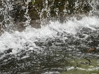 B0336F86-3DBF-47B7-A8F4-3D62D18C3F61/L0/001