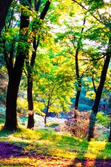 0EA07B1C-957E-4300-9BA3-9A86D26F39BA/L0/001