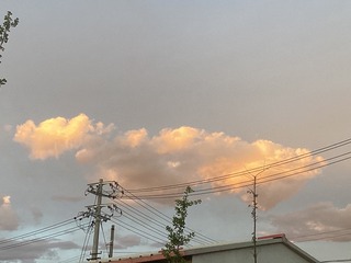 414F7AC8-D2FD-4E7A-9FE3-9A97EB9EF004/L0/001