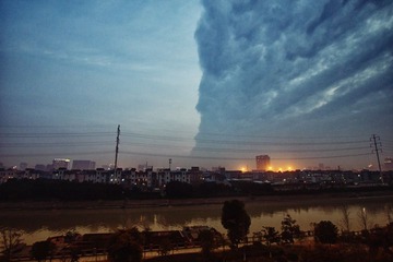 _MG_8452-编辑.jpg