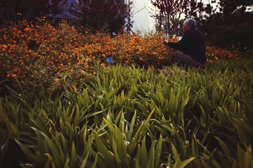 花农2