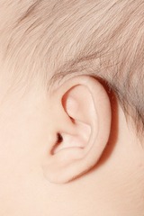 6FAA8773-08AE-4867-990D-360C1EA82A42/L0/001