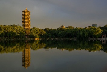 P1060529.jpg