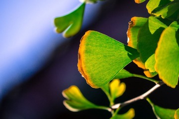 P1070044.jpg