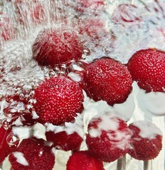 E1F4AFF1-2300-4FA7-A7CF-BE4D1257083F/L0/001