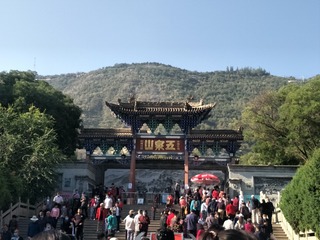12020