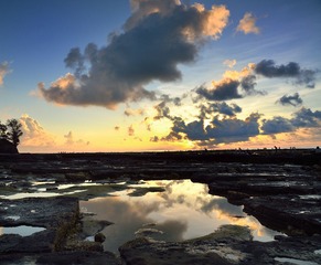 DSC_2441.jpg